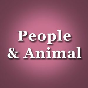 ANIMAL & PEOPLE CARDS